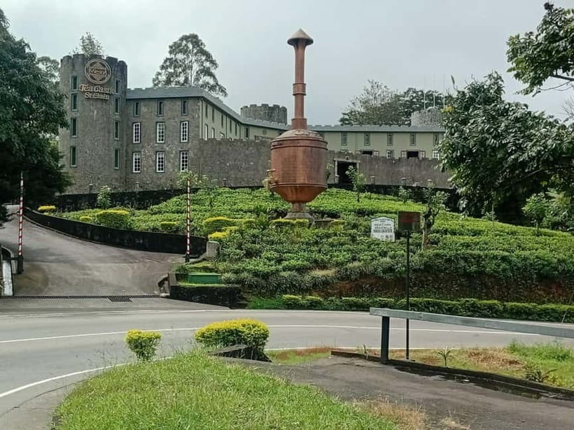 High-Grown Tea & Waterfall Wonders of Nuwara Eliya by tuktuk - Who should book this outing