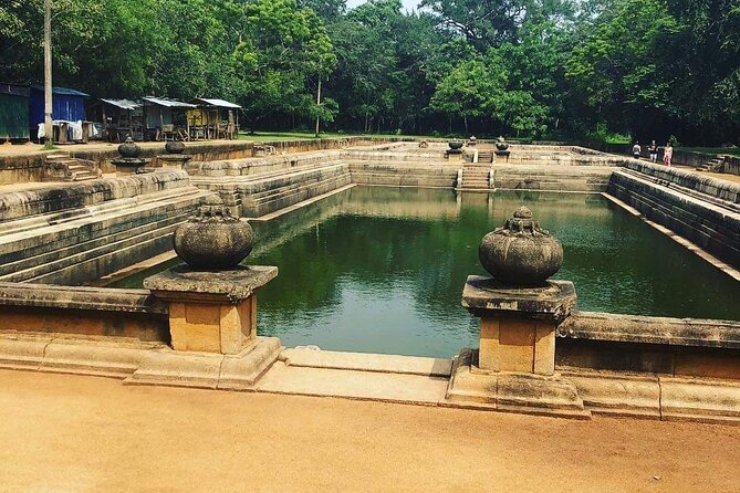 Highlights of Sri Lanka 8 Days Private Tour - Waterfalls and elephant rehabilitation mark the descent south