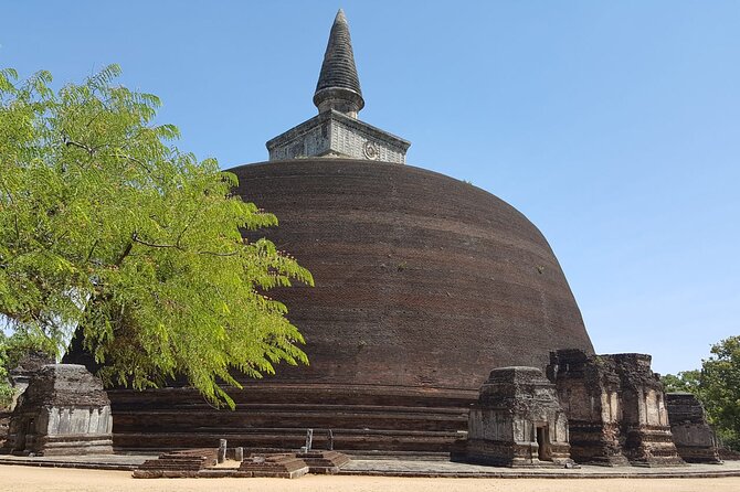 Highlights of Sri Lanka 8 Days Private Tour - Ritigala and Minneriya bring ruins and wildlife together