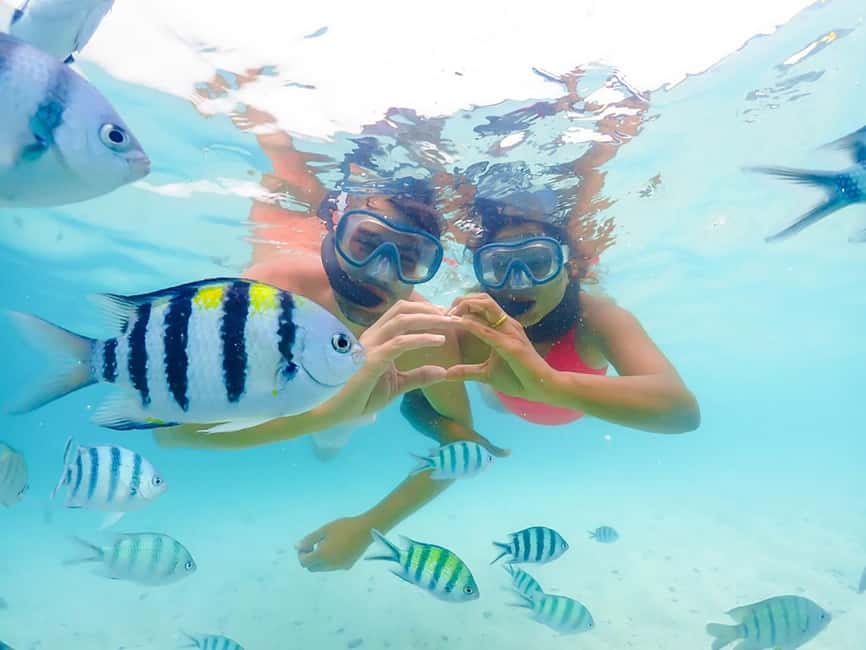 Hikkaduwa Snorkeling Tour: 2 Hours of Underwater Adventure - What the Hikkaduwa snorkeling experience is really like