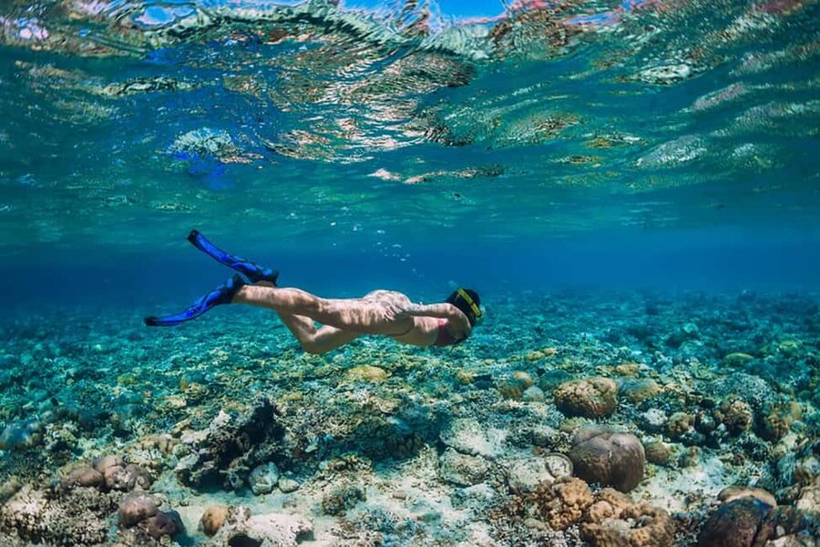 Hikkaduwa Snorkeling Tour: 2 Hours of Underwater Adventure - Why the reef rules matter