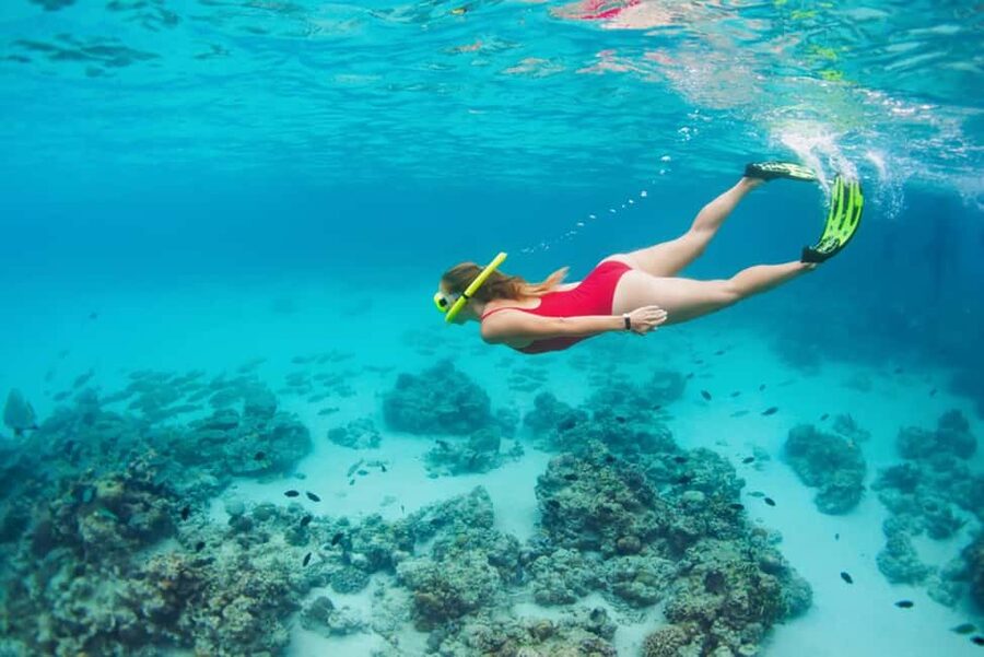 Hikkaduwa Snorkeling Tour: 2 Hours of Underwater Adventure - Refreshments and the useful end of the tour