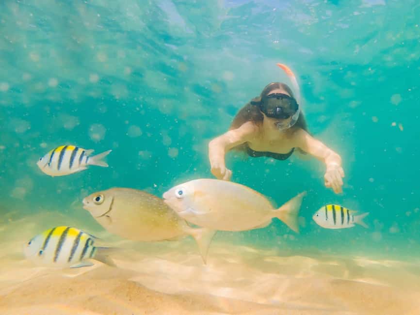 Hikkaduwa Snorkeling Tour: 2 Hours of Underwater Adventure - Practical tips for a smoother swim