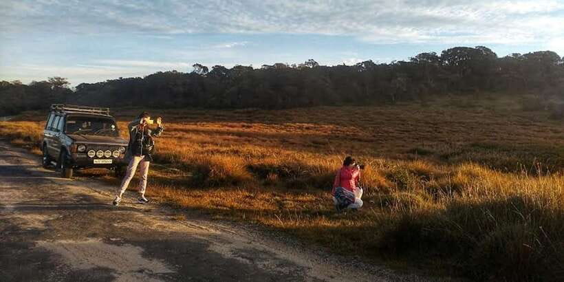 Horton plains: Discover real essence of central highland - Tea country, farms, and the work behind the view