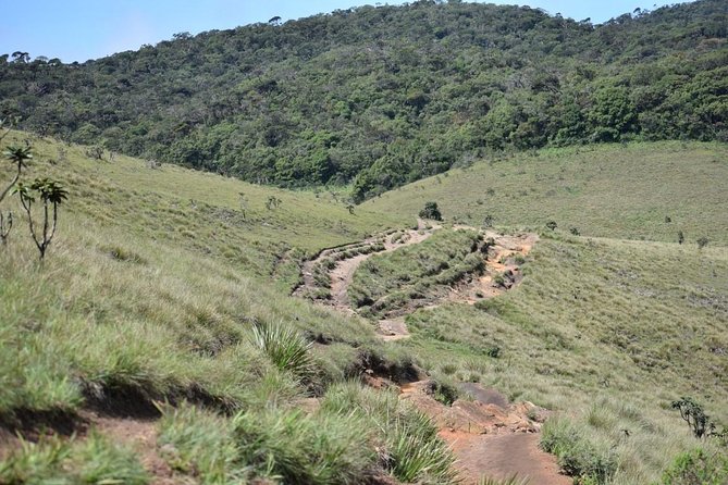 Horton Plains National Park Entrance Ticket with Guide - The 9.5-kilometer circular trail