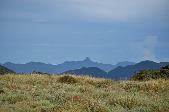 Horton Plains National Park Entrance Ticket with Guide - Baker’s Falls and the forest section
