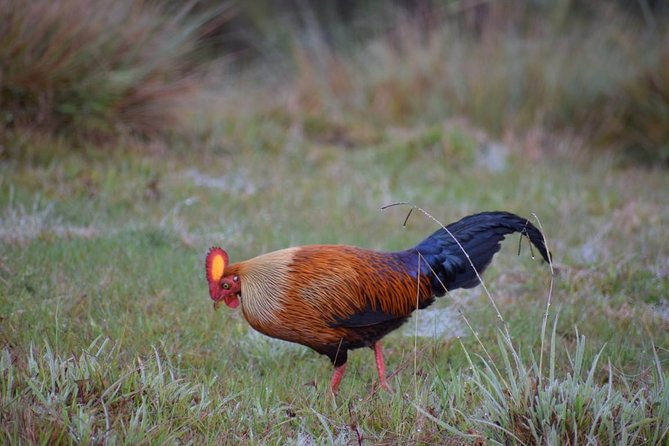 Horton Plains National Park Entrance Ticket with Guide - Is $120 a fair price?