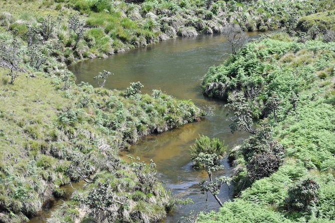Horton Plains National Park Entrance Ticket with Guide - Who will enjoy this walk most?