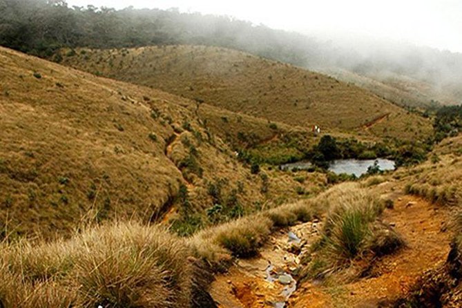 Horton Plains-World's End Tour From Nuwaraeliya - Key points to know before you book