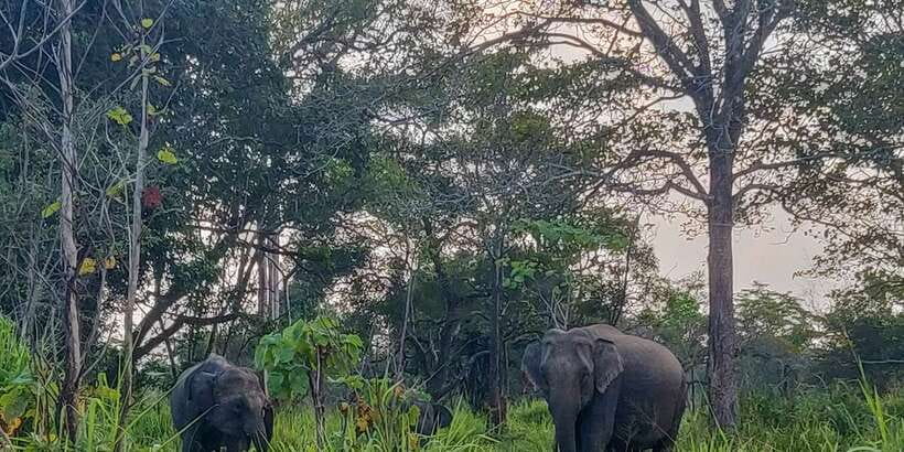 Hurulu Eco Park: 3-Hour Morning or Evening Safari - The three-hour route from the Hurulu gate