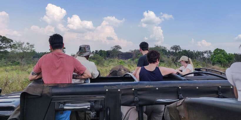 Hurulu Eco Park: 3-Hour Morning or Evening Safari - Should you book Hurulu Eco Park?