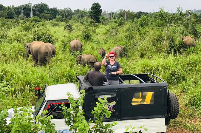 Hurulu Eco Park Half Day Safari - Meeting at Habarana Post Office