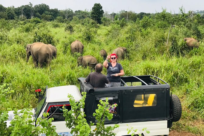 Hurulu Eco Park Half Day Safari - Inside the private 4WD