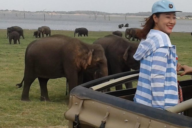 Hurulu eco park jeep safari - Handling the park entry fee and pickup costs