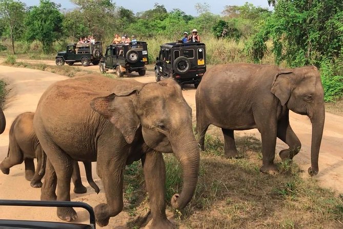 Hurulu Eco Park Private Safari - Tracking elephants through forest, grassland, and waterways
