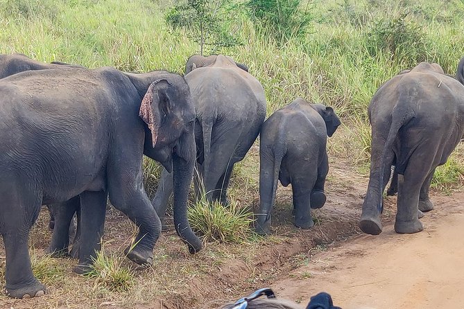 Hurulu Eco Park Private Safari - What the price includes, and what it does not