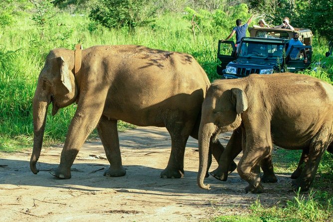 Hurulu Eco Park Private Safari - The strongest part of the experience: the driver