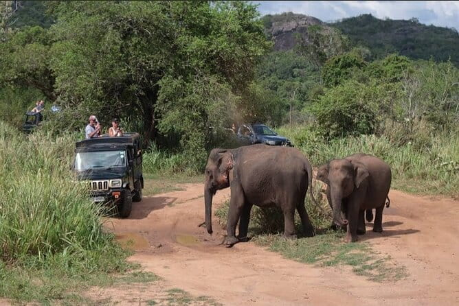 Hurulu Eco Park Safari Adventure - Key points to know before booking