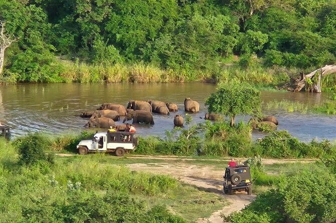 Hurulu Eco Park Safari Adventure - Three hours among Hurulu’s elephants