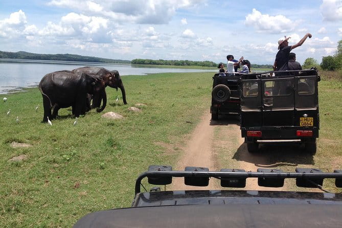 Hurulu Eco Park Safari Adventure - The best time to visit Hurulu Eco Park
