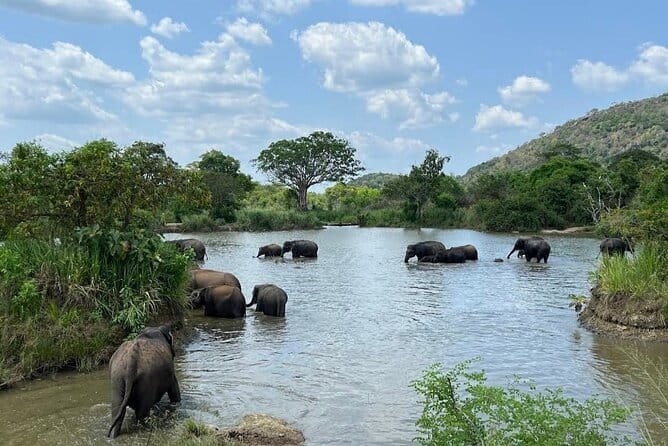 Hurulu Eco Park Safari Adventure - Booking, weather, and cancellation details