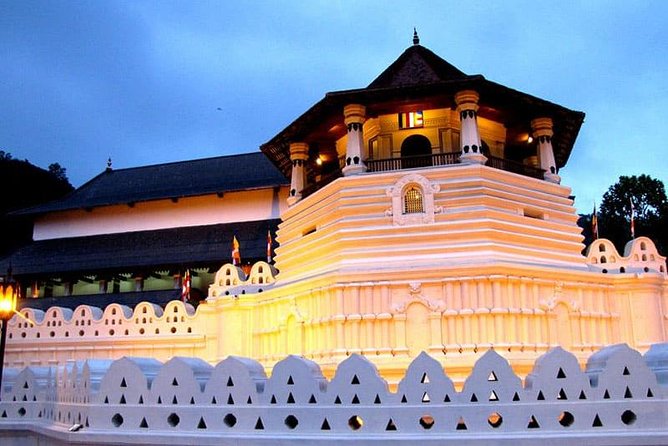 I Day Kandy Heritage Culture Tour - Tea making on Geragama Estate Road