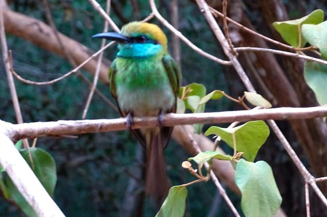 Jeep Safari at Kumana National Park - What the six-hour schedule means