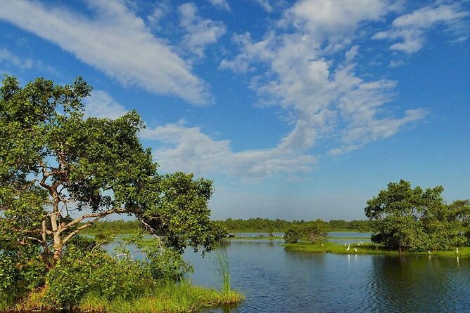 Kalametiya Bird Sanctuary Catamaran Bird Watching Tour - Why the catamaran is the heart of the experience