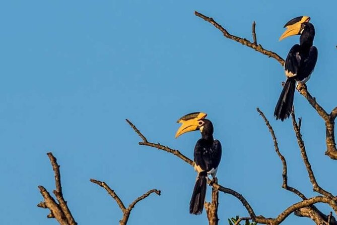 Kalametiya Bird Sanctuary Catamaran Bird Watching Tour - Is $55 per person good value?