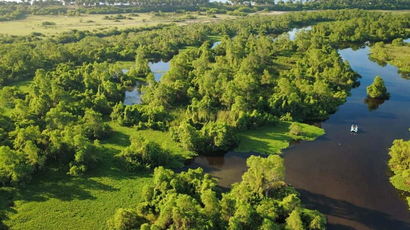 Kalametiya Sanctuary: Bird Watching by Private Boat Tour - Who should book this Kalametiya tour?