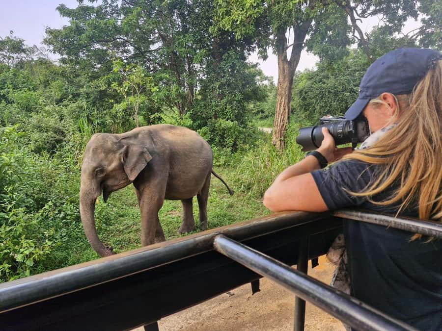 Kandy: 4-Day Sri Lanka Full Circle Private Tour To Colombo - Key details before you book