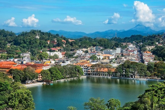 Kandy and Pinnawala Private Day Tour from Colombo/Negombo - Timing, comfort, and the real cost