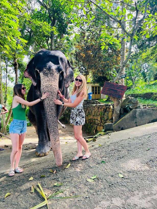 Kandy City Day Tour from Colombo, Negombo or Katunayake - Evening Puja at the Temple of the Tooth