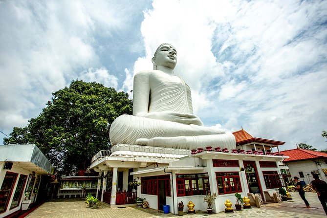 Kandy City Day Tour with a verified tour guide - Ceylon Tea Museum: from leaf to cup