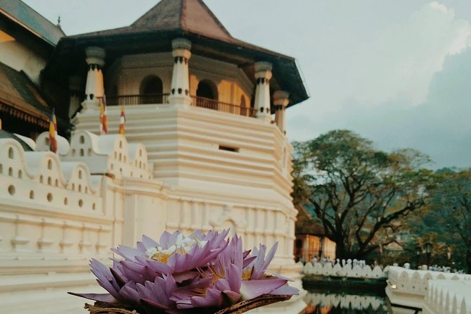 Kandy City guide Tour and day trip private luxury car and van - Kandy Market Hall and local shopping