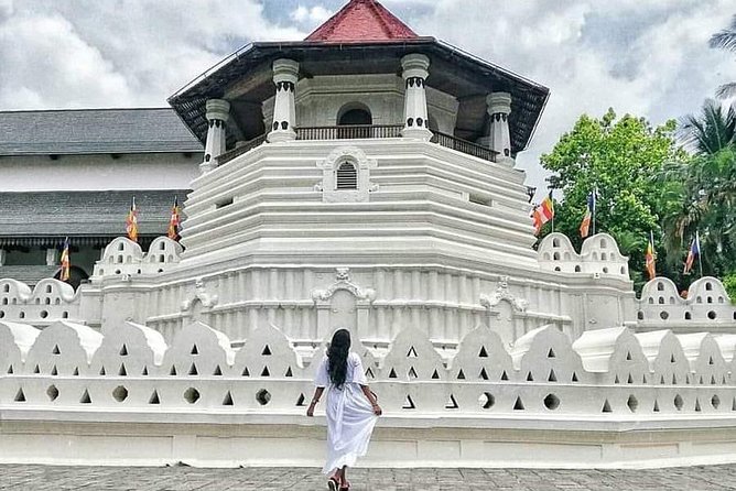 Kandy City guide Tour and day trip private luxury car and van - Peradeniya Botanical Gardens