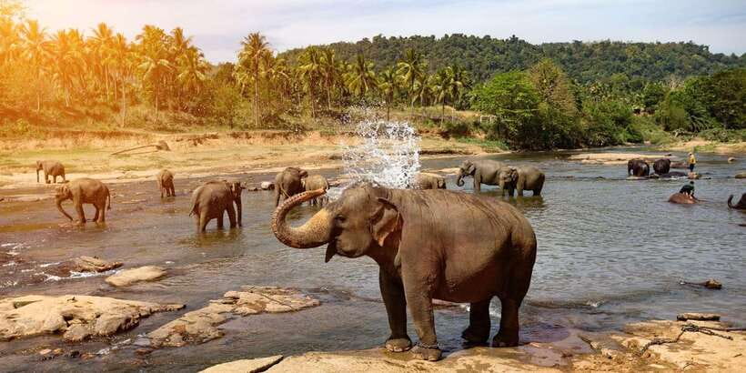 Kandy: City Highlights and Ramboda Waterfall Trip - Key Points at a Glance
