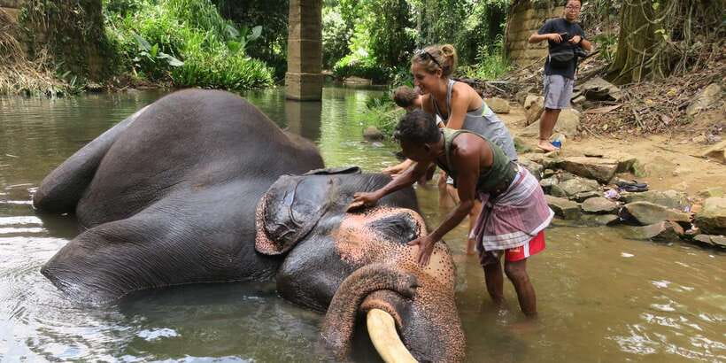 Kandy: City Highlights and Ramboda Waterfall Trip - Wood Carving and Kandyan Craft