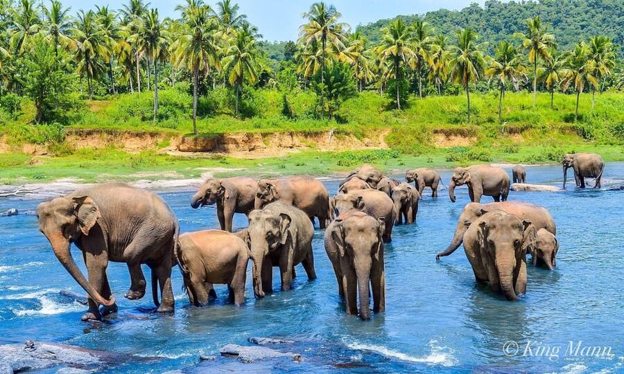 Kandy: City Highlights and Ramboda Waterfall Trip - Tea Factory Views on the Hill Road