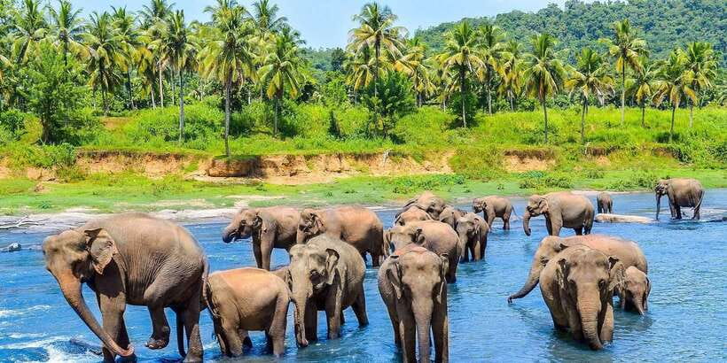 Kandy: City Highlights and Ramboda Waterfall Trip - Asgiriya Stupa and Kandy’s Religious Character
