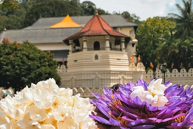 Kandy City Sightseeing and Ambuluwawa Tower by Tuk Tuk Tour - What the seven-hour schedule really means
