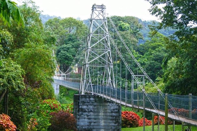 Kandy City Tour - Royal Botanical Gardens reward a full two hours