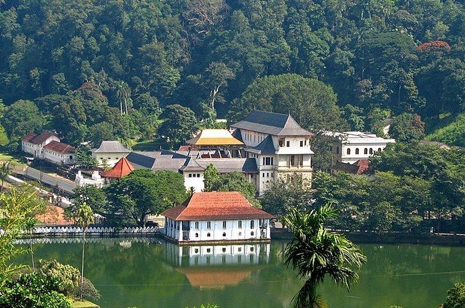 Kandy City Tour by Lux Tours Lanka - A slow look at Kandy Lake