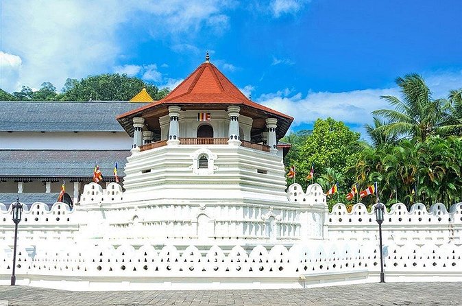 Kandy City Tour by Lux Tours Lanka - The Royal Botanical Gardens at Peradeniya