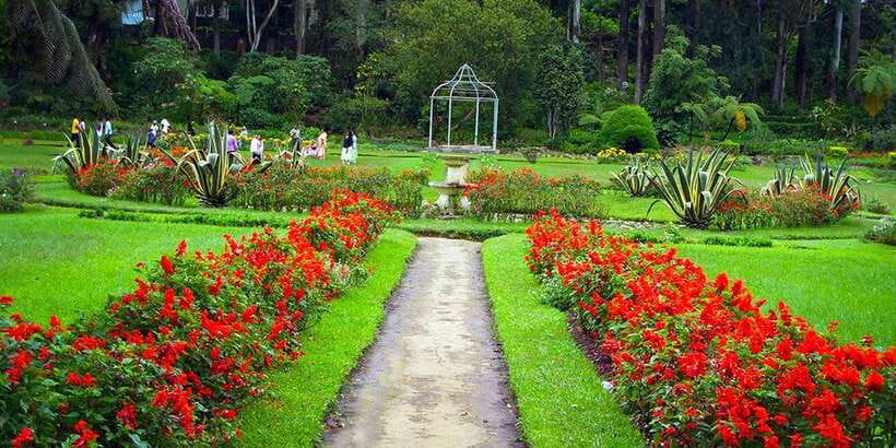 Kandy City Tour With Ambuluwawa Tower - Tuk-tuk transport and the guide you get