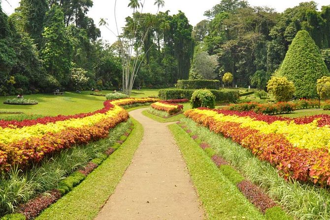 Kandy City Tour with Mahaweli - Peradeniya’s Royal Botanic Gardens
