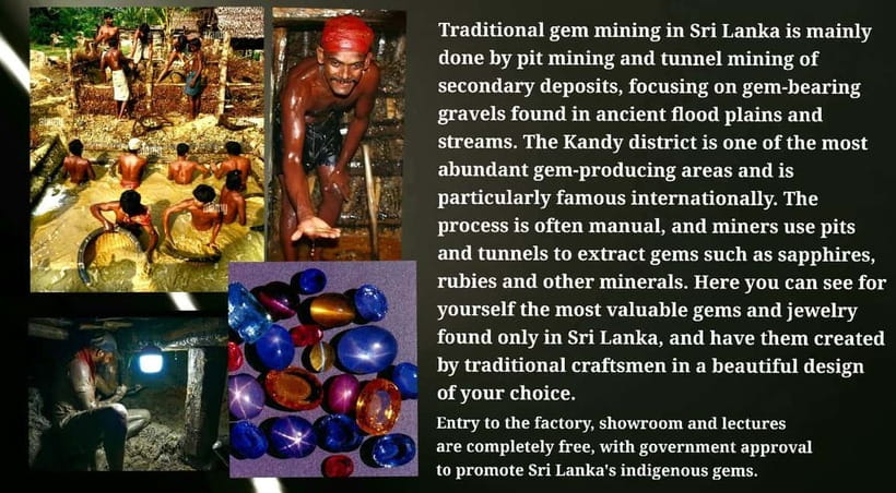 Kandy: City Tour with Temple of the Tooth & Tea Garden - Price, group size, and what you really receive