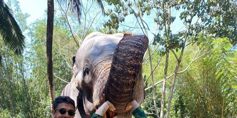 Kandy City Tours by Tuk Tuk - Tea country, spice gardens, and local production