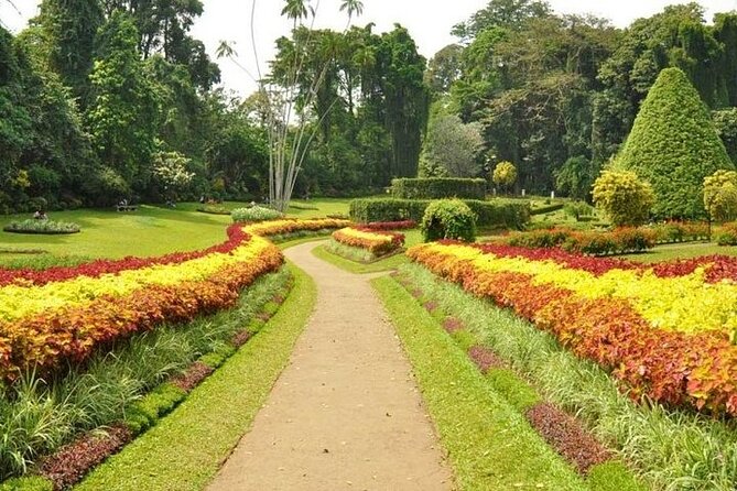 Kandy Day trip from Kalutara Beruwala Bentota Aluthgama Wadduwa - The private vehicle and flexible schedule