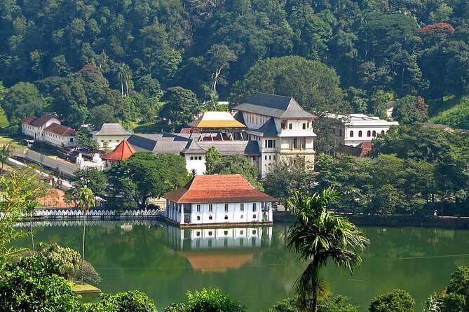Kandy Day Trip with Tooth Relic Temple & Unique Attractions - Why this Kandy day trip works from Bentota